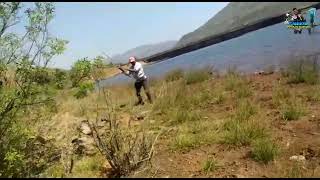 मित्राला लागली रेकॉर्ड साईज मरळ  Record size Snakehead fish catching in dam [upl. by Leinaj]