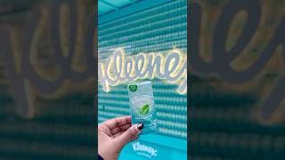 Kleenex Mint Tissue Popup [upl. by Yelra137]