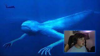 Reacting To Thalassophobia [upl. by Barrie56]