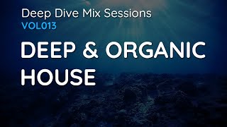 Deep amp Organic House  Deep Dive Mix Sessions 013 [upl. by Arezzini]