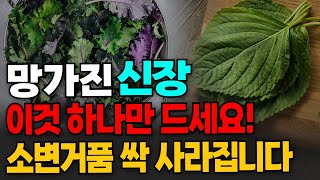 소변에 거품이 보이면 신장 건강에 적신호입니다 이것을 매일 먹으면 병든 신장이 확 살아납니다 신장에 좋은 음식과 건강관리법 총정리 [upl. by Koller375]