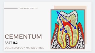 A to Z about CEMENTUM [upl. by Saraann58]