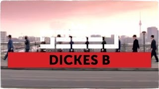 Seeed  Dickes B official Video [upl. by Bowe]