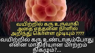 symptoms confirming early pregnancy in tamil pregnancy symptoms in tamil  pregnancy tips in tamil [upl. by Zelde]