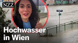 Hochwasser in Wien Nicht die Donau ist das Problem – sondern der Wienfluss [upl. by Zwiebel195]