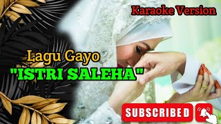 ISTRI SALEHA  GAYO OFFICIAL MUSIC KARAOKE VERSION 2024 [upl. by Lambard]