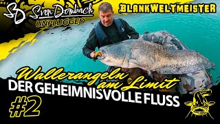 Wallerangeln am Limit  DER GEHEIMNISVOLLE FLUSS  Roadtrip Part 2 [upl. by Irafat]