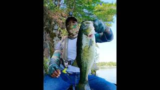 Strike king spinner bait largemouth bass fishing shorts [upl. by Clemmie]