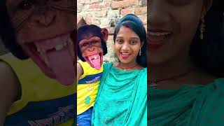 105 Bandar mama pahan pajama dawat khane aaye 🐒🐒virar [upl. by Eelnyl]