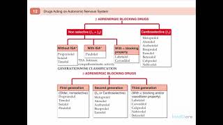 Beta Blockers  Mechanism of Action  Classification of Beta Blockers  Adverse effects and uses [upl. by Eilata167]