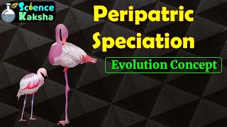 PERIPATRIC SPECIATION In Hindi  CSIR NET  GATE  EVOLUTION [upl. by Corby850]