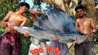 koppara fish කොහොමද කොප්පරා මාලුවා [upl. by Marnie766]