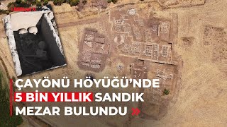 Çayönü Höyüğünde 5 bin yıllık sandık mezar bulundu [upl. by Yrocaj258]