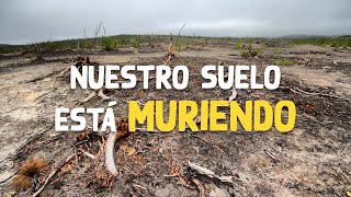 ¿Que es la perdida del suelo y desertificación ☠🌿😯 [upl. by Notxarb]