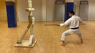 Seishinkan Budo Tokushin Ryu Kobudo BO Makiwara Training [upl. by Asiak44]