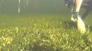 Scalloping at Port St Joe Bay Florida [upl. by Man]