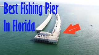 The Best Fishing Pier in Florida Skyway Fishing Pier [upl. by Esaj]