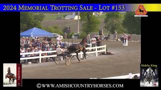 2024 Trotting Sale Part 16 [upl. by Rebe]