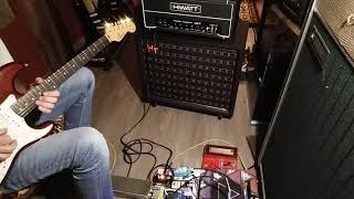 Hiwatt Little D Hitone Eclipse 1x12 and Yamaha RA 200 PINK FLOYD Animals tones [upl. by Reilamag]