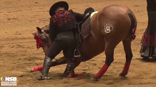 2019 Quarter Horse Congress Freestyle Reining Frederick Win on Friday Night Sailing Multicam [upl. by Onig856]