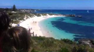 Shark Sighting Rottnest island pinky Beach [upl. by Zsa Zsa770]