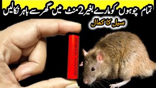 get rid of mouse  Chuhe baghane ka tarika  Rat killer trick  rat killer spray kitchentips [upl. by Notnats]