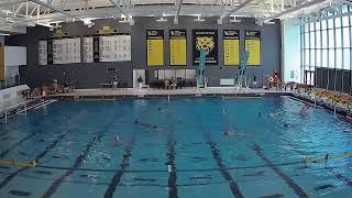 Water Polo  Golden Bear Open 2024  Saturday [upl. by Willing]