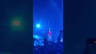 Billie Eilish  Lollapalooza Argentina Live Concert 2023 [upl. by Ahcsap833]