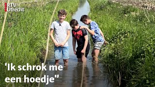 Kinderen vinden oude Duitse kogel in hun sloot  RTV Utrecht [upl. by Yeldnarb]