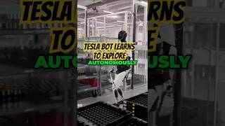 Tesla Bot Optimus LEARNS to Explore [upl. by Lombardo]