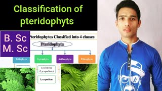 Classification of pteridophyts [upl. by Yendroc909]