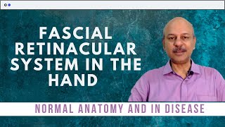 The fascial retinacular system in the hand  Normal anatomy and what happens in disease [upl. by Sudnor]