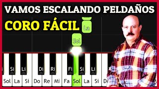 VAMOS ESCALANDO PELDAÑOS Piano Tutorial Fácil  Stanislao Marino  ACORDES de CORITOS CRISTIANOS [upl. by Peskoff285]