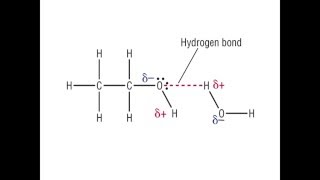 Organic Revesion for Chapter 7  Alcohols Phenols and Thiols [upl. by Serilda422]