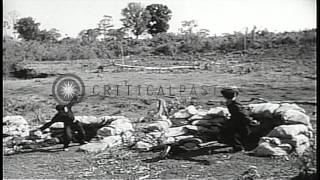 United States soldiers train young montagnards in Vietnam during the Vietnam War HD Stock Footage [upl. by Ahseiyk]