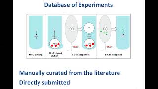 The Immune Epitope Database and Analysis Resource Dr Randi Vita [upl. by Ekenna]