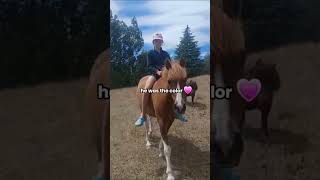 Sparkies everything viral trending goviral subscribe goviral fypシ equestrian horse trend [upl. by Nigem]