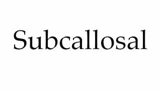 How to Pronounce Subcallosal [upl. by Isak]