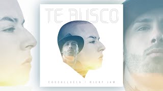 Cosculluela Nicky Jam  Te Busco Audio Oficial 2016 [upl. by Etiuqram]