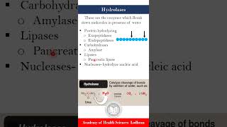 Hydrolases enzymes that hydrolyze molecules in presence of water  Biochemistry  by Imran Yaseen [upl. by Erialc352]