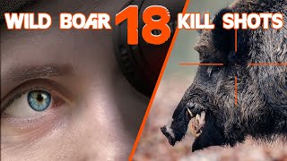 Wild boar hunting shots  Compilation de tirs de sangliers 2023 [upl. by Eatnahs286]