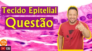 Questão  Tecido Epitelial  Histologia Animal [upl. by Eramal]