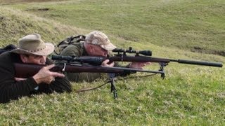 Hunting two Fallow deer with 243 Win and 223 Rem rifle for venison recovery in New Zealand  89 [upl. by Sonitnatsnok759]