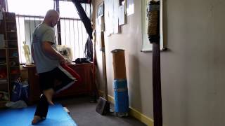 Qi Xing Tanglang pai da gong 拍打氣功 conditioning part 1 [upl. by Acirretahs]