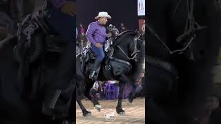 CABALLO BAILADOR R15 [upl. by Idel]