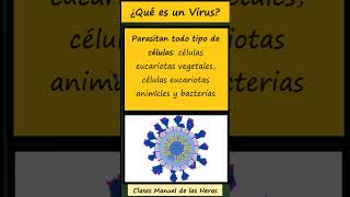 ¿Qué es un VIRUS Características Generales de los Virus Biología [upl. by Buyer]