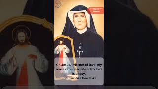 St Faustina Kowalska Nanma Maram Bites [upl. by Yeslehc]