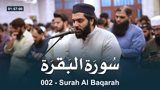 002 Surah Al Baqarah  سورۃ البقرۃ  by Dr Subayyal Ikram  Beautiful Recitation of Holy Quran [upl. by Aerbua]