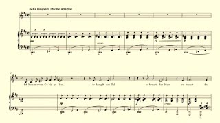 Der Wanderer Schubert accompaniment B minor with vocal line [upl. by Otho15]