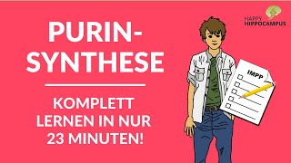 Purinsynthese unverschämt leicht lernen  Gedächtnispalast amp Eselsbrücken vom Weltrekordhalter [upl. by Ybok]